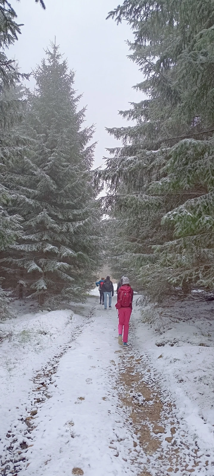 Výměnný pobyt studentů z Wolfsburgu II.