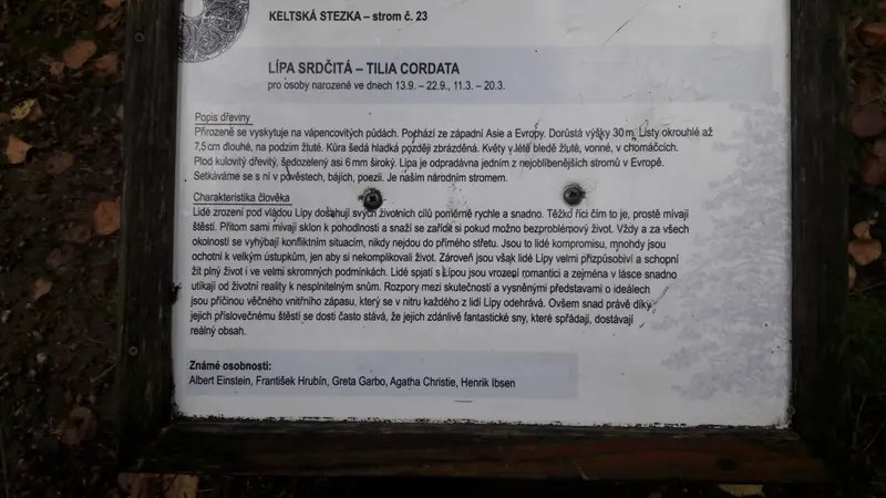 2.A a 2. B s patrony v lesoparku