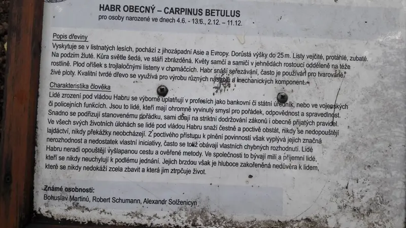 2.A a 2. B s patrony v lesoparku