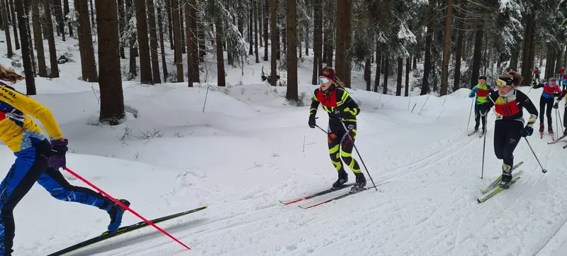 Bronzové běžky
