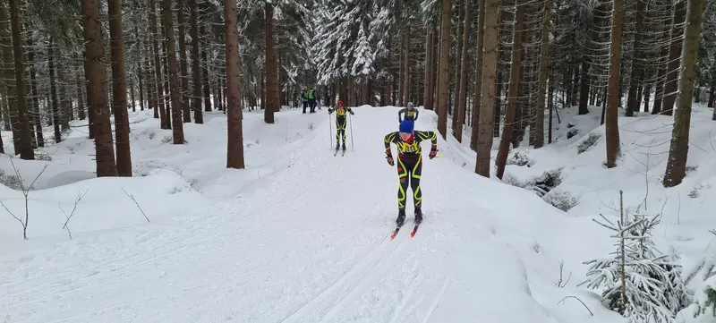 Bronzové běžky