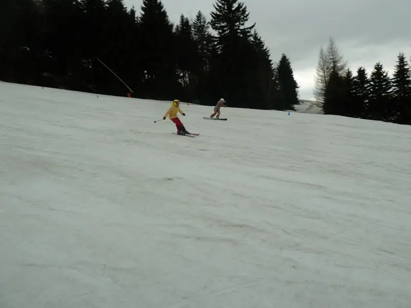 Lyžák 2017