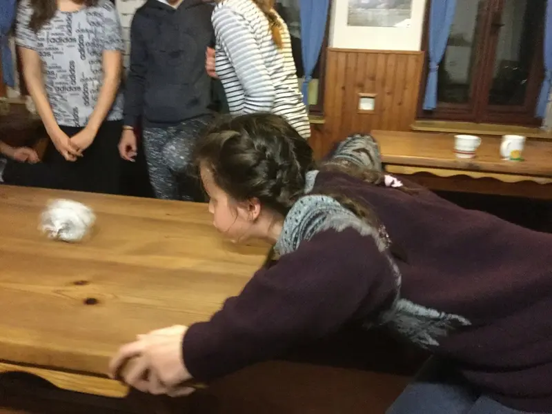 Lyžák 2017