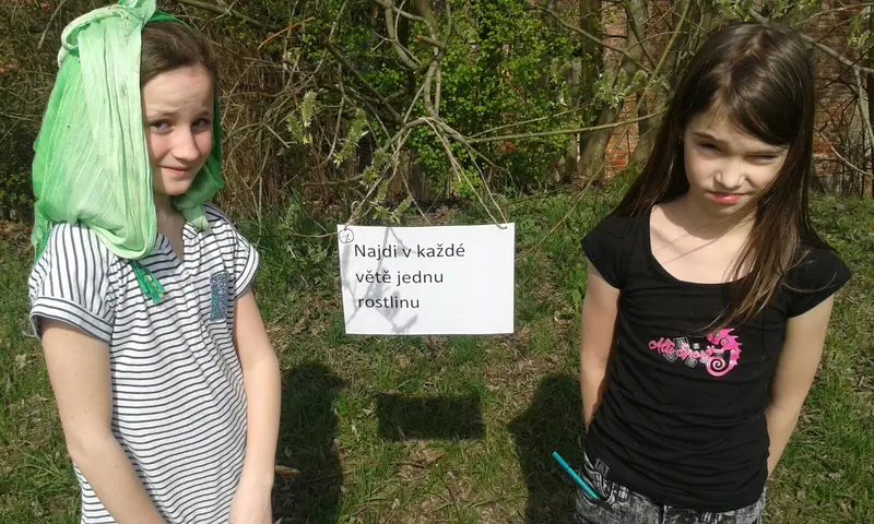 ŠD - programová středa