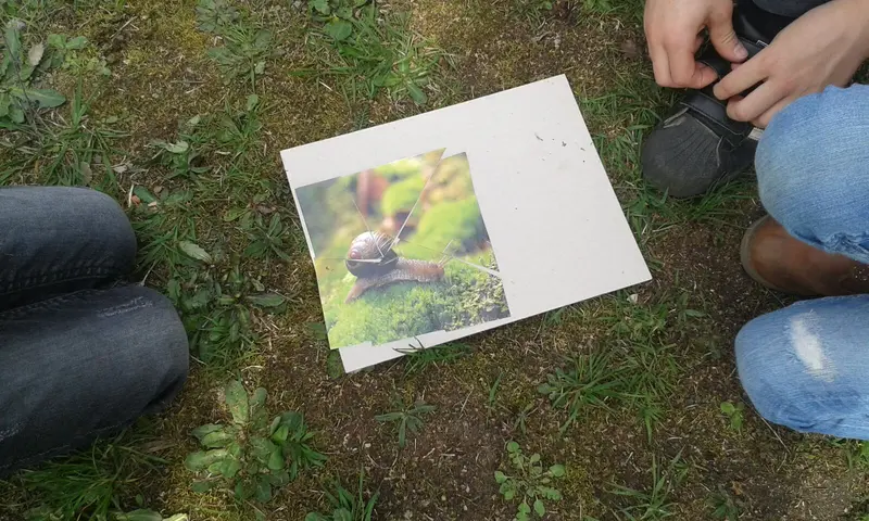 ŠD - programová středa