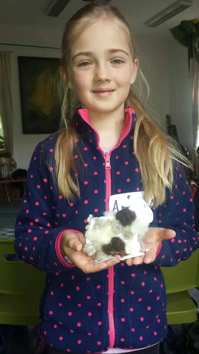 1.A - Divizna