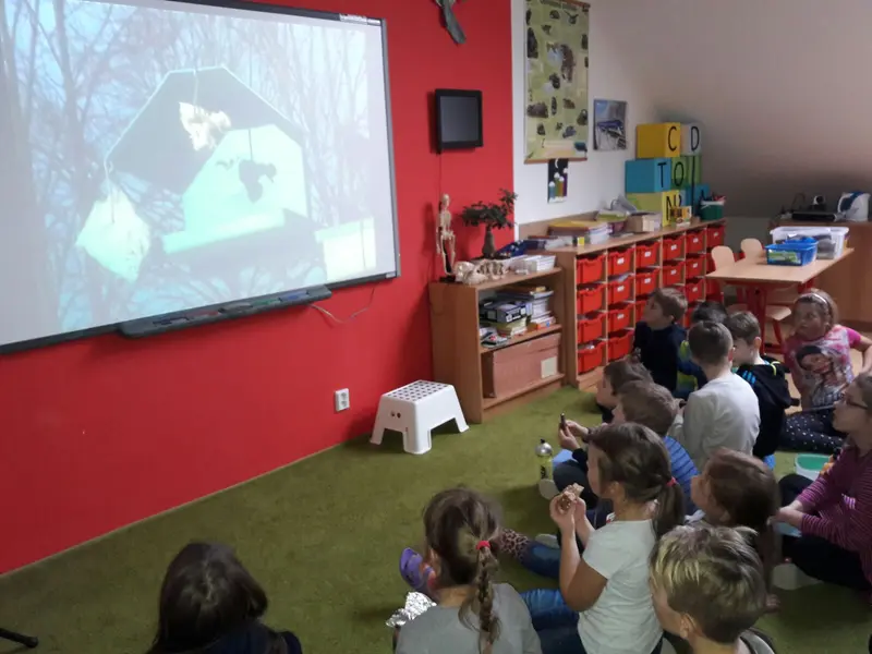 Ptáčci v zimě
