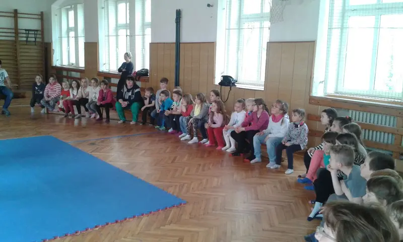 ŠD - Ukázka bojového umění