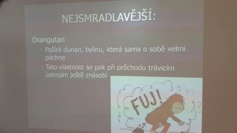 ŠD - Beseda se ZOO a Diviznou