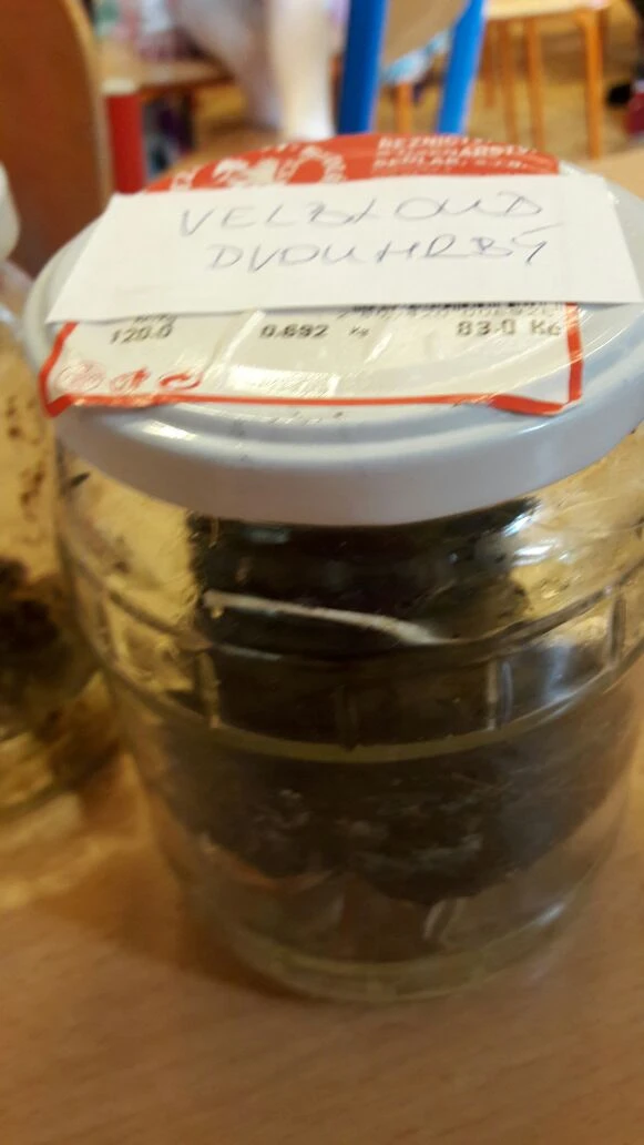 ŠD - Beseda se ZOO a Diviznou
