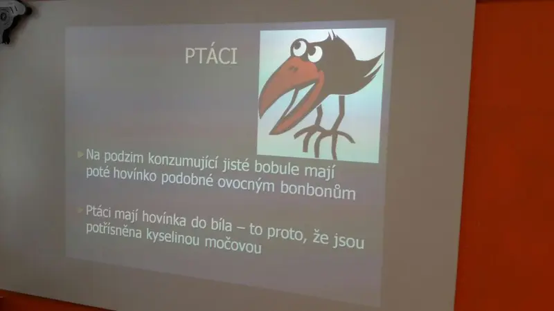 ŠD - Beseda se ZOO a Diviznou