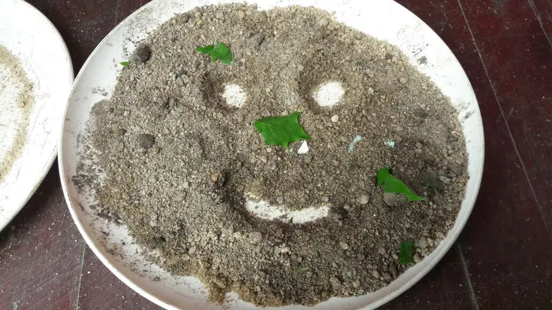 ŠD na zadradě