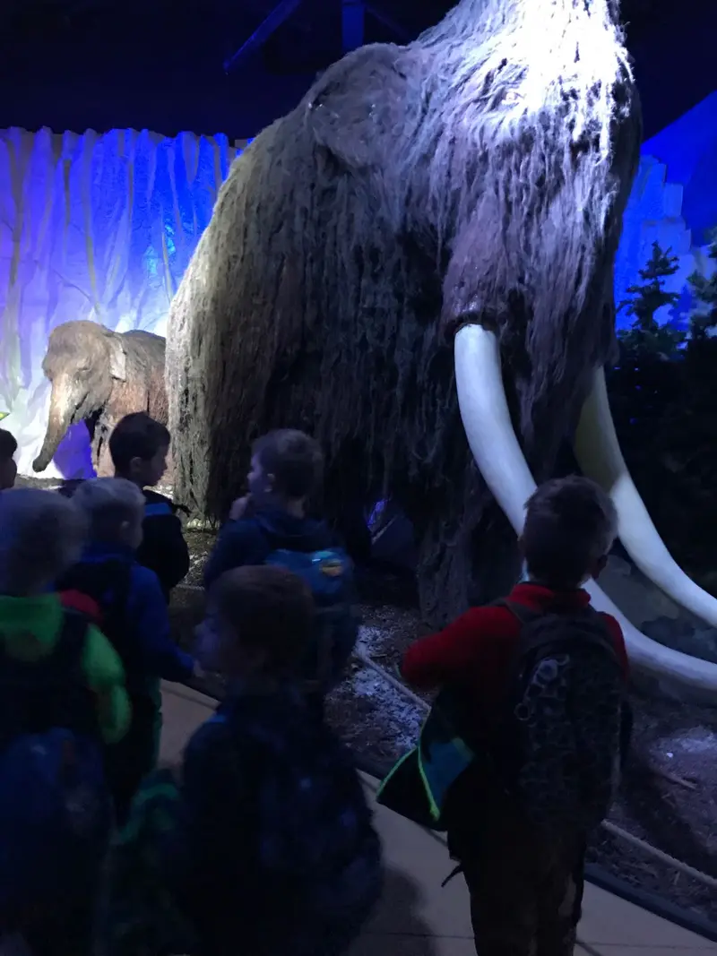 Dinopark