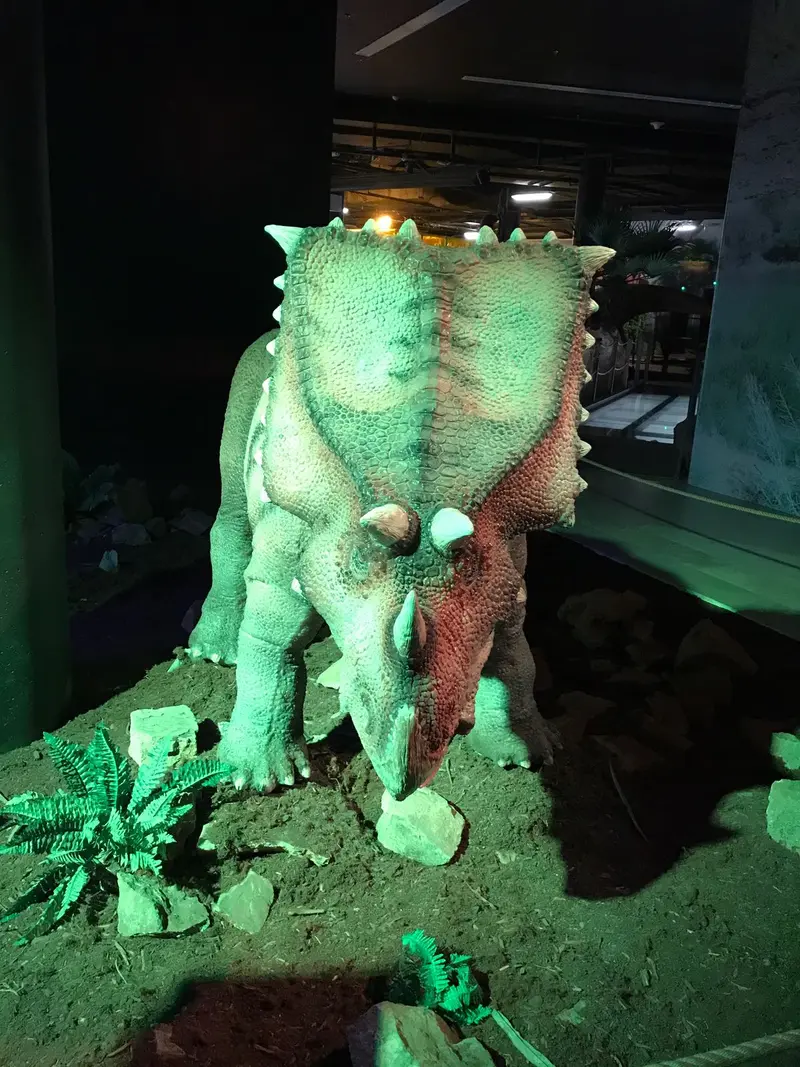 1.tř. Putování za dinosaury