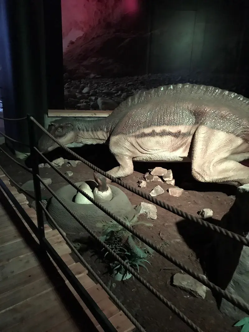 1.tř. Putování za dinosaury
