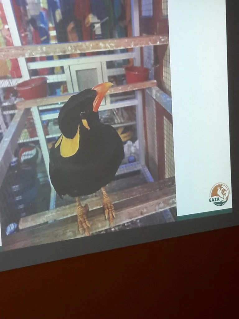 Učíme se pomáhat -  beseda ŠD s ředitelem ZOO