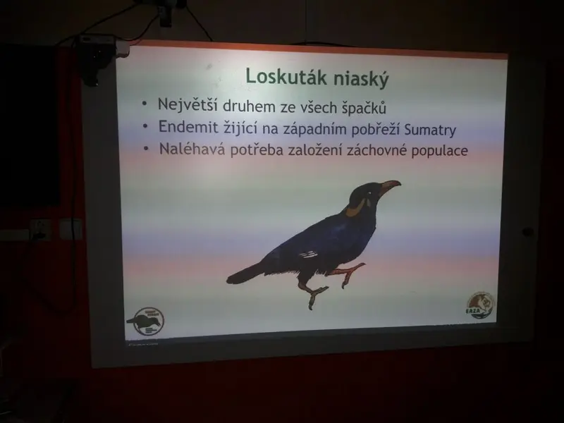 Učíme se pomáhat -  beseda ŠD s ředitelem ZOO