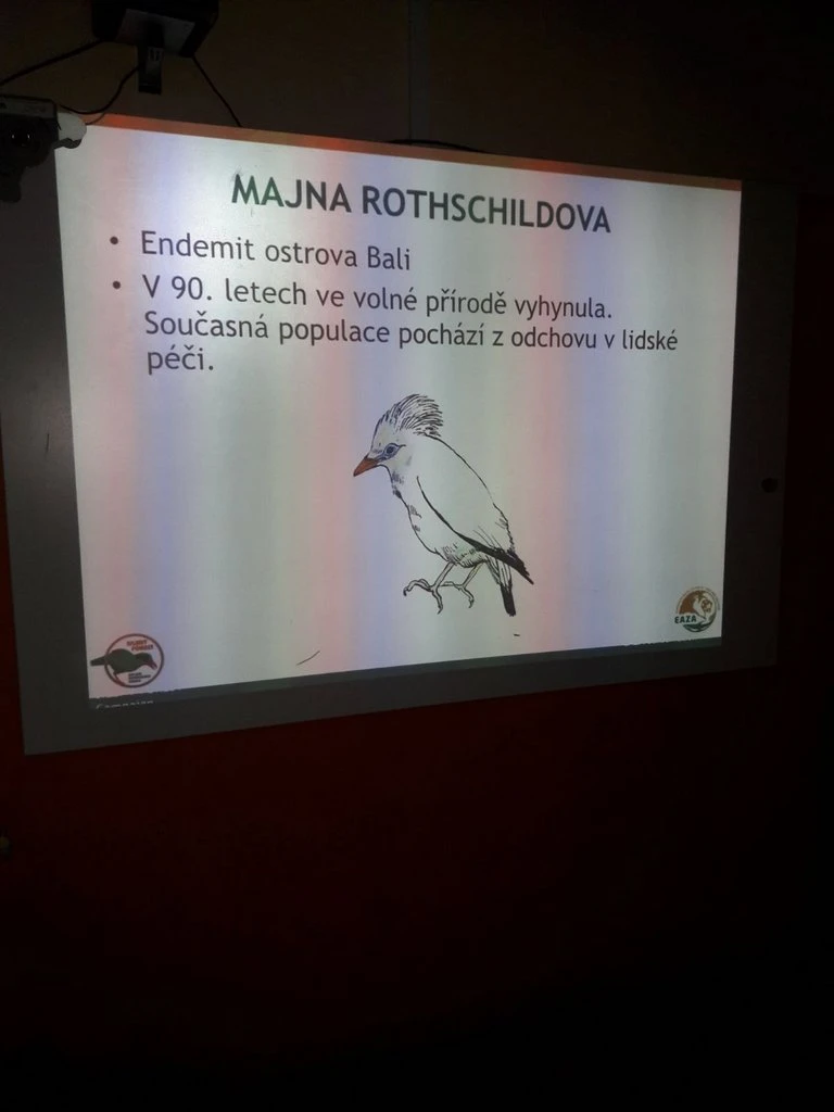 Učíme se pomáhat -  beseda ŠD s ředitelem ZOO