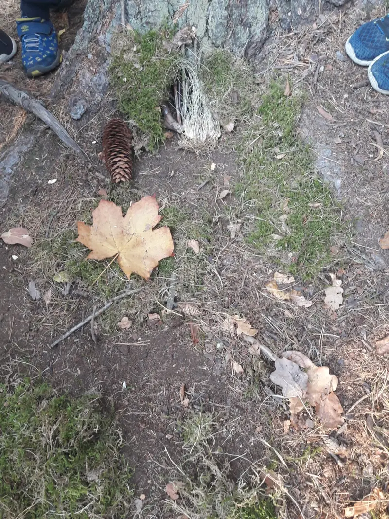 Družina v lesích u liberecké přehrady
