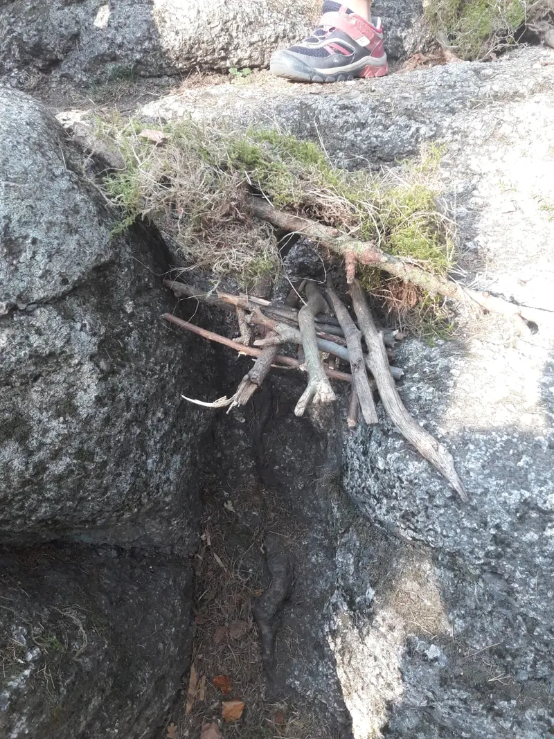 Družina v lesích u liberecké přehrady