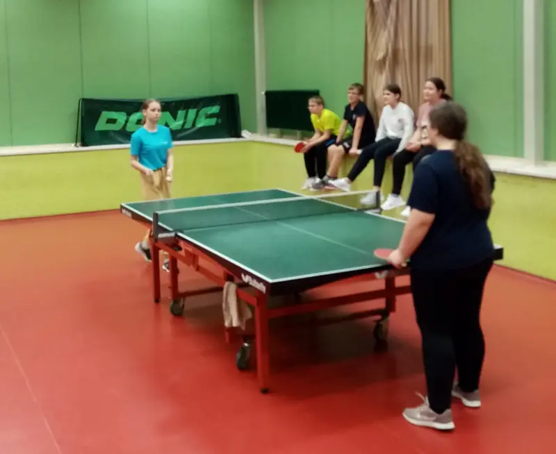 Stolní tenis