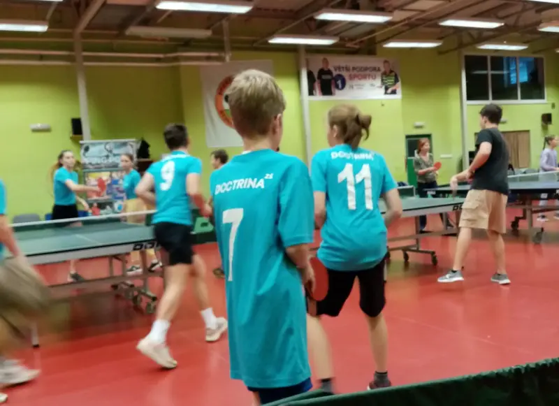Stolní tenis