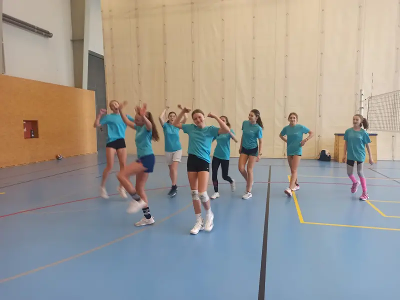 Volejbal dívky okresní finále