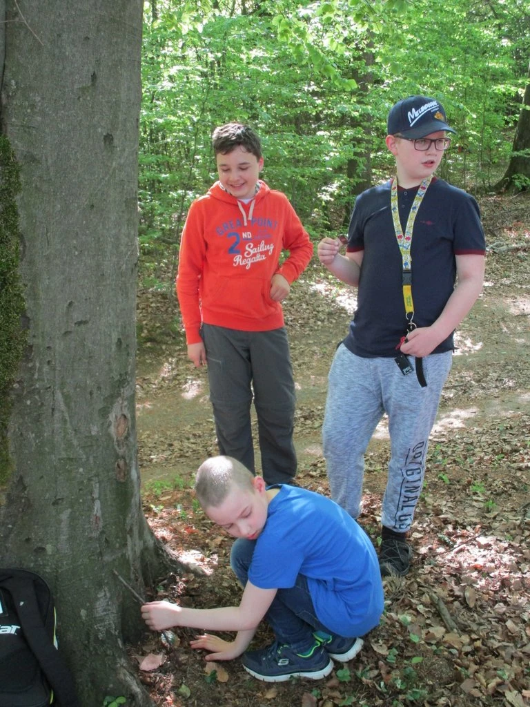 Putování se zvířátky 1. a 7. tř.