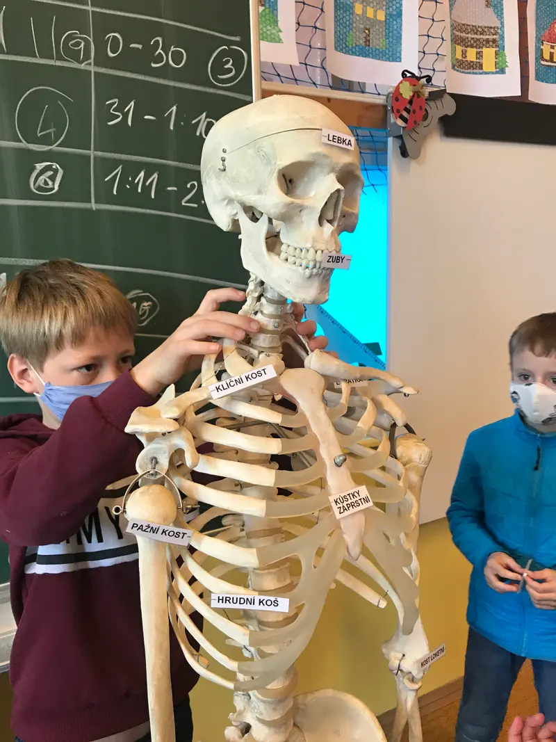 Lidské tělo ve 3.třídě