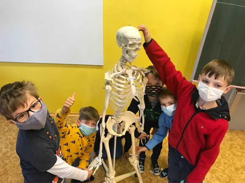 Lidské tělo ve 3.třídě