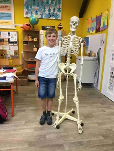 Projektový den - lidské tělo - ve 3.A