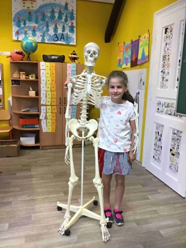 Projektový den - lidské tělo - ve 3.A