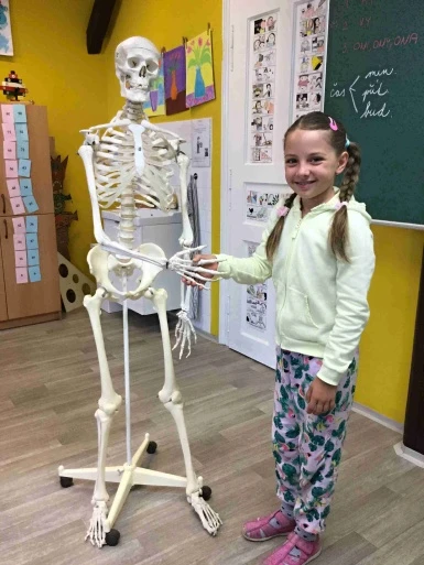 Projektový den - lidské tělo - ve 3.A