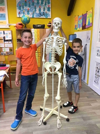 Projektový den - lidské tělo - ve 3.A