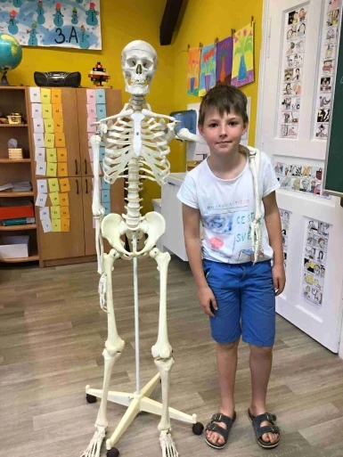 Projektový den - lidské tělo - ve 3.A