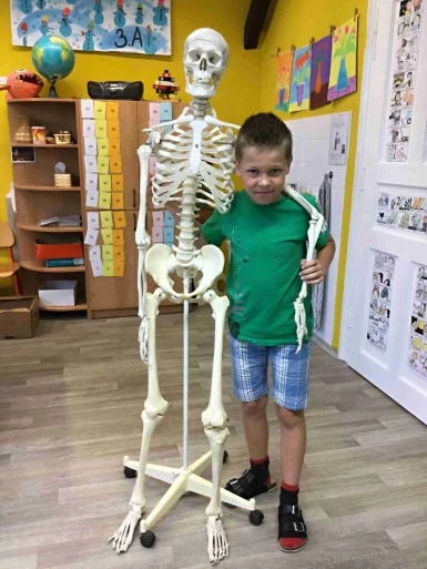Projektový den - lidské tělo - ve 3.A