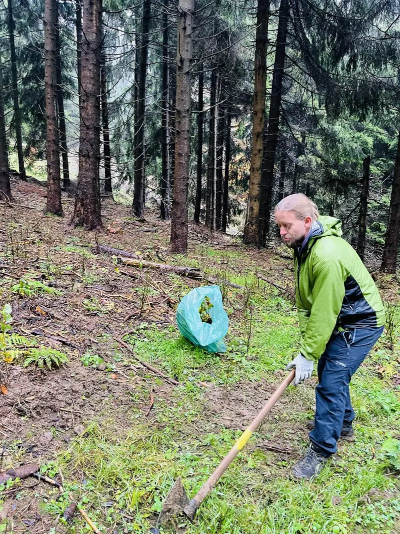 Sázení nového pralesa na Ještědu