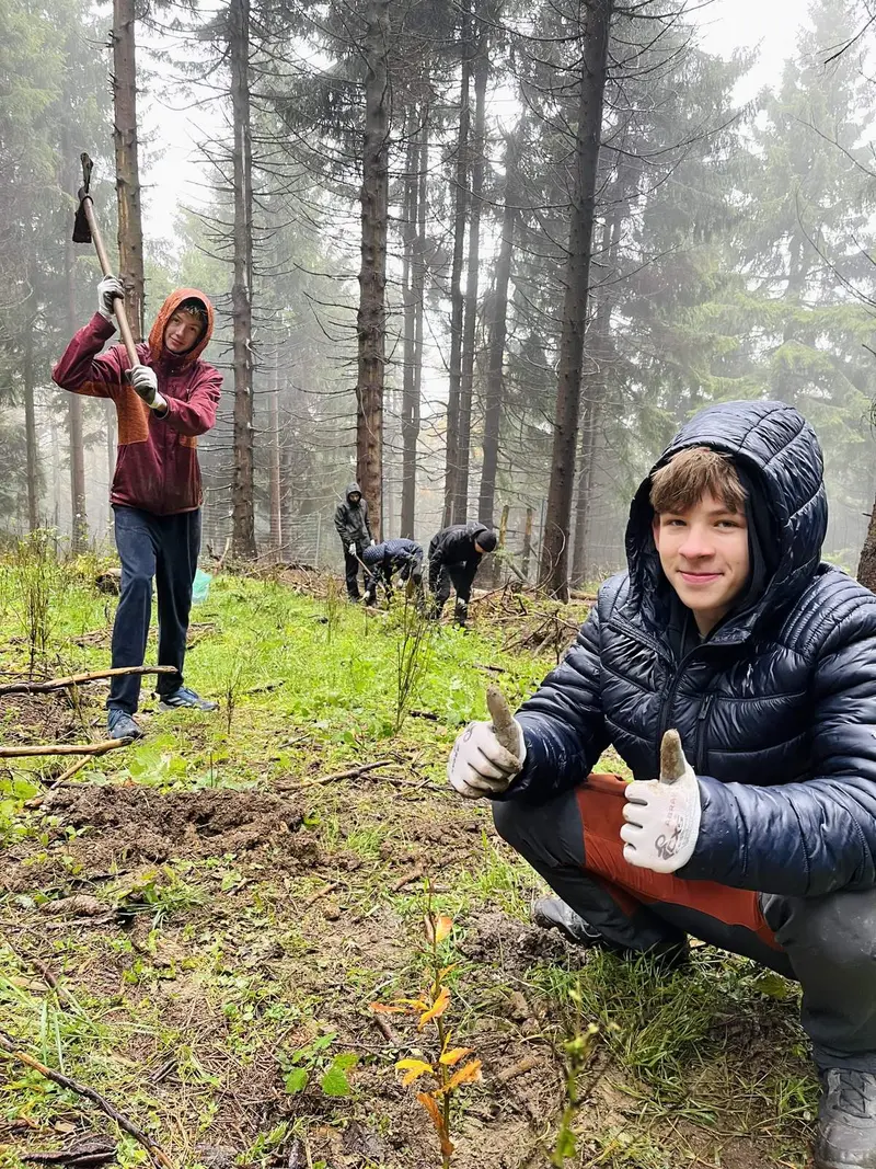Sázení nového pralesa na Ještědu