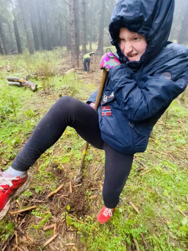 Sázení nového pralesa na Ještědu