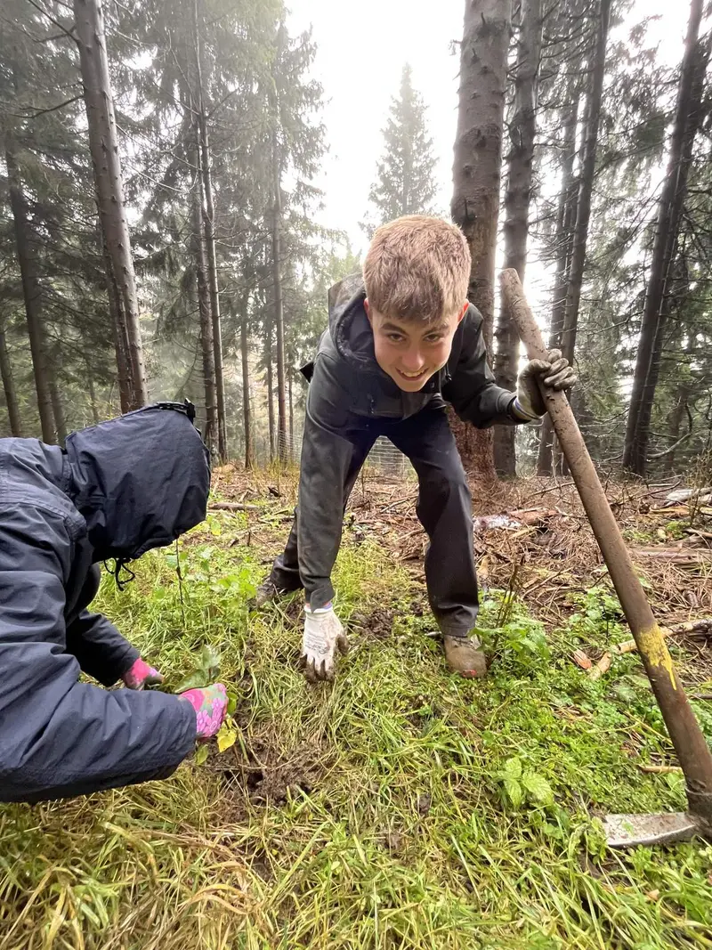 Sázení nového pralesa na Ještědu