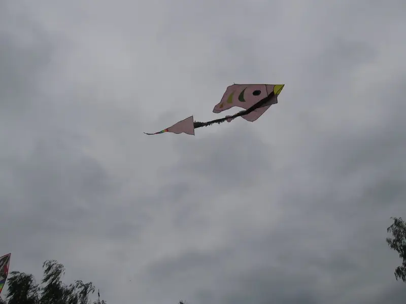 Prvňáčci - Pouštění draků s patrony