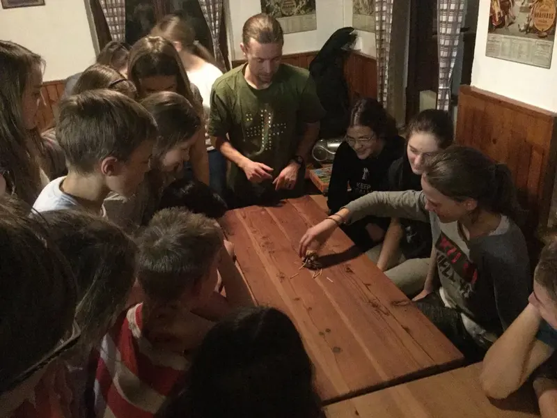 Lyžařský kurz