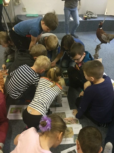 3.třída Barevný svět zvířat