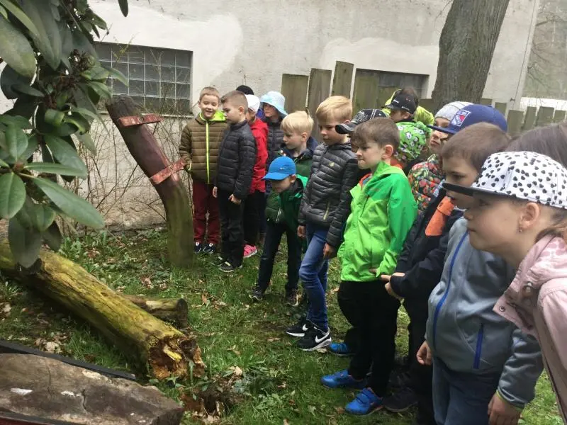 3.třída Barevný svět zvířat