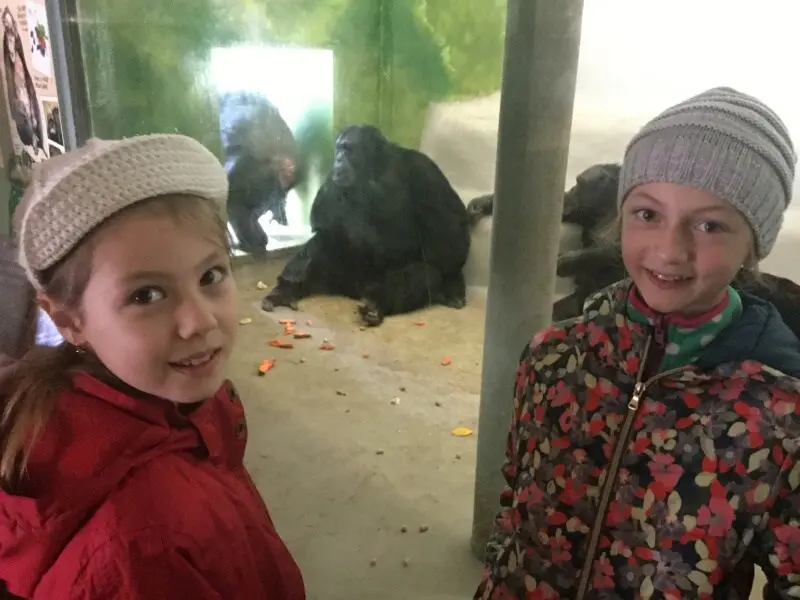 3.třída Barevný svět zvířat