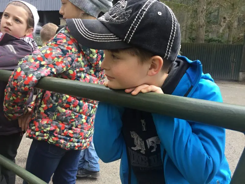 3.třída Barevný svět zvířat