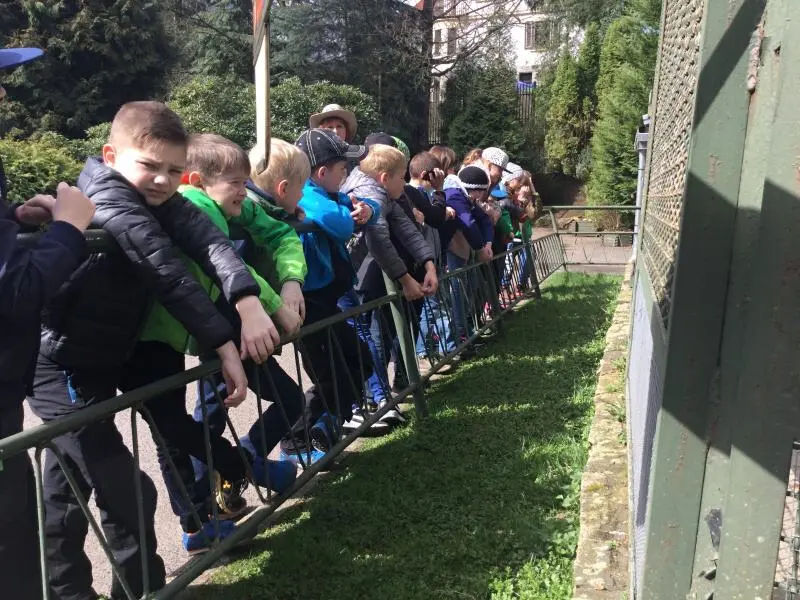 3.třída Barevný svět zvířat