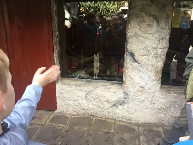 3.třída Barevný svět zvířat