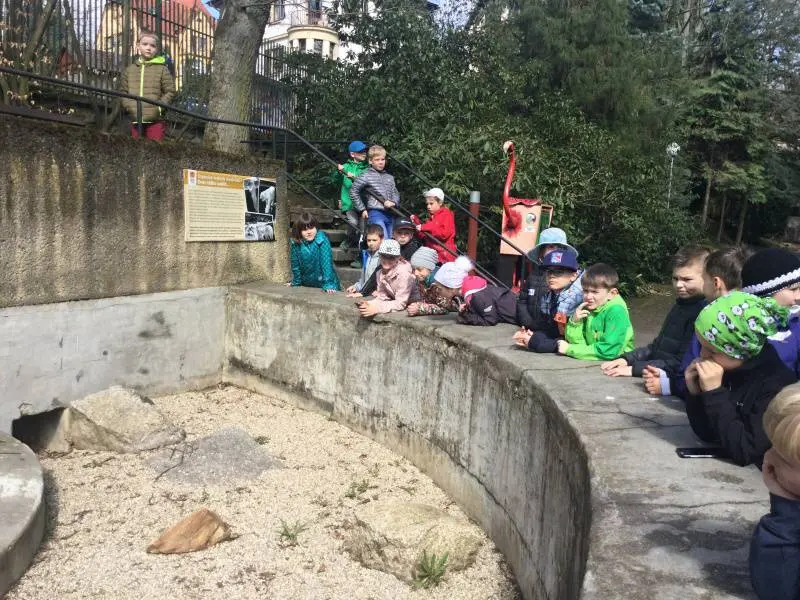 3.třída Barevný svět zvířat