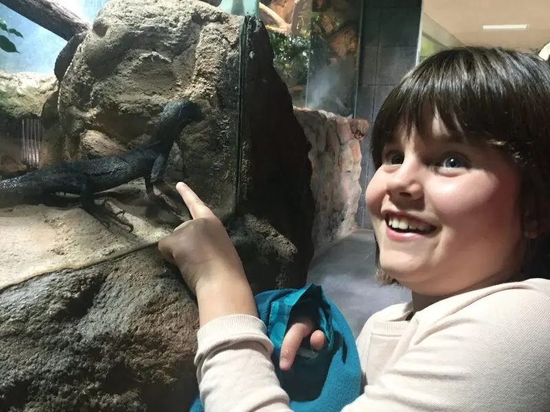 3.třída Barevný svět zvířat